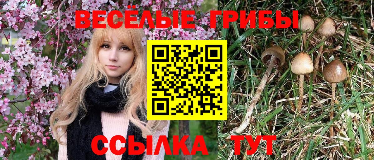 Псилоцибиновые грибы мухоморы Чапаевск