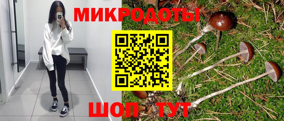 Галлюциногенные грибы Magic Shrooms  купить наркотики цена  Чапаевск  Вход с VPN  Псилоцибиновые грибы мицелий 